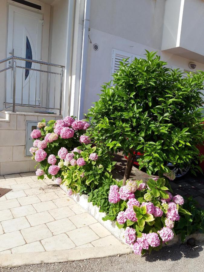 Pojko Apartament