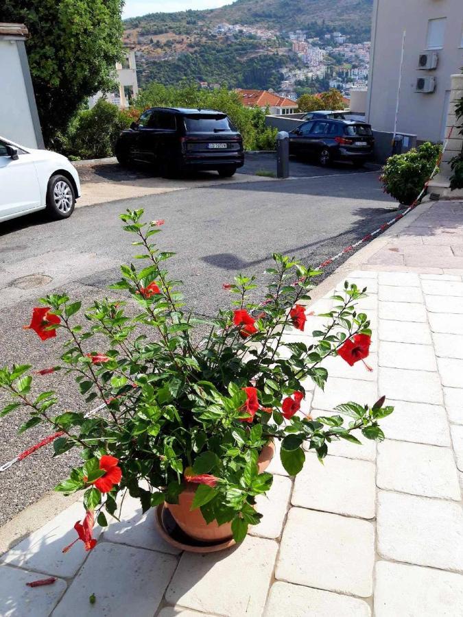 Pojko Appartement Dubrovnik